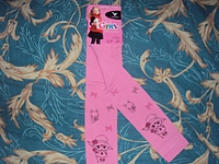 click for enlarge 1024 X 768 340.6 Kb picture