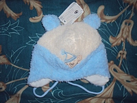 click for enlarge 1024 X 768 357.8 Kb picture