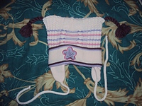 click for enlarge 1024 X 768 334.0 Kb picture