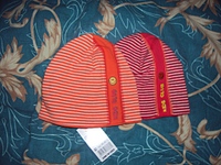 click for enlarge 1024 X 768 337.6 Kb picture