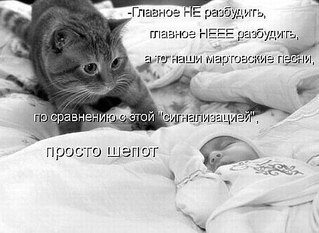 click for enlarge 477 X 348 37.2 Kb picture