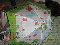 click for enlarge 1600 X 1200 779.9 Kb picture