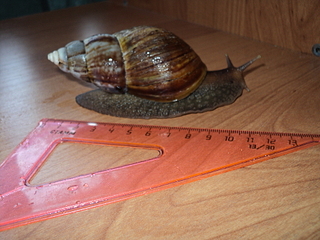 click for enlarge 1920 X 1440 167.0 Kb picture