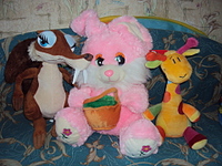 click for enlarge 1920 X 1440 203.0 Kb picture