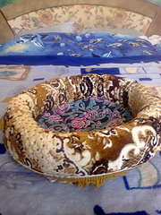 click for enlarge 1200 X 1600 488.7 Kb picture