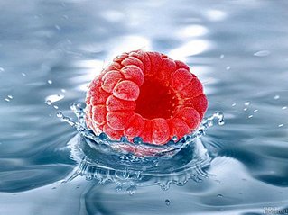 click for enlarge 800 X 599  75.1 Kb picture