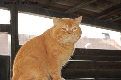click for enlarge 600 X 399 25.9 Kb picture