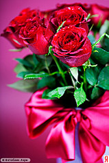 click for enlarge 333 X 500  64.0 Kb picture