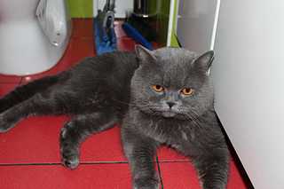 click for enlarge 1800 X 1200 110.2 Kb picture