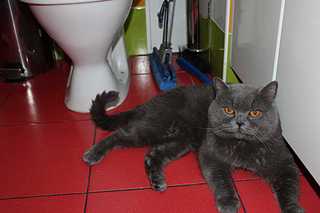 click for enlarge 1800 X 1200 105.7 Kb picture