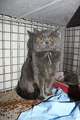 click for enlarge 402 X 604 58.8 Kb picture