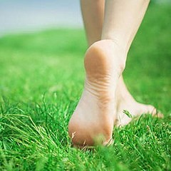 click for enlarge 300 X 300  20.9 Kb picture