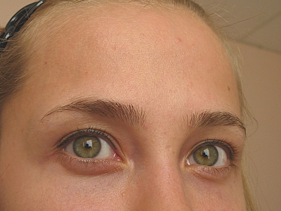click for enlarge 800 X 600 288.1 Kb picture