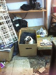 click for enlarge 603 X 807 115.6 Kb picture