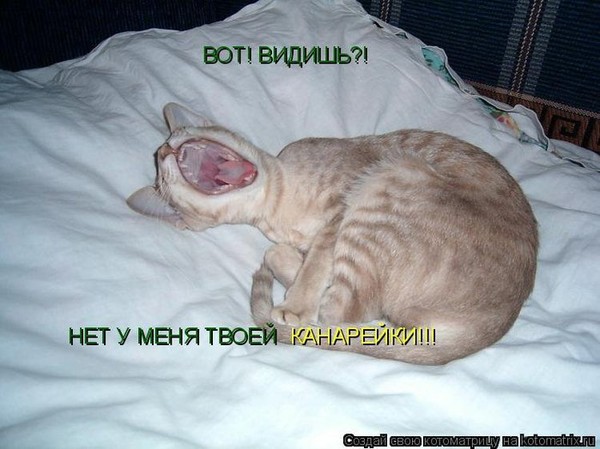 600 x 449