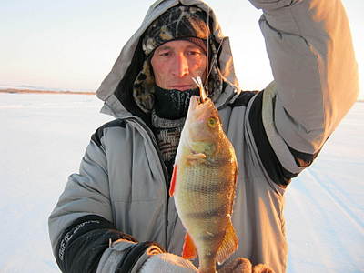 click for enlarge 1920 X 1440 208.3 Kb picture