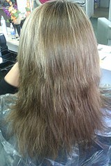 click for enlarge 1728 X 2592 481.8 Kb picture