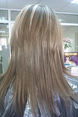 click for enlarge 1728 X 2592 455.2 Kb picture