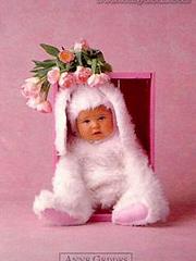 click for enlarge 240 X 320  10.1 Kb picture