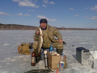 click for enlarge 1600 X 1200 371.0 Kb picture