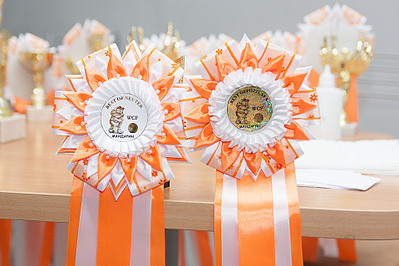 click for enlarge 1920 X 1280 829.9 Kb picture