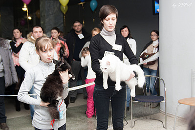 click for enlarge 1920 X 1280 667.7 Kb picture