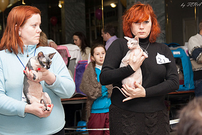 click for enlarge 1920 X 1280 690.0 Kb picture