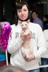 click for enlarge 1574 X 2362 514.2 Kb picture