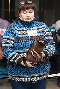 click for enlarge 1626 X 2439 778.0 Kb picture