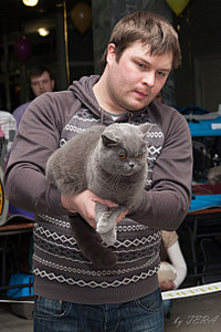 click for enlarge 1620 X 2430 635.3 Kb picture