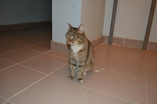 click for enlarge 1920 X 1280 810.9 Kb picture