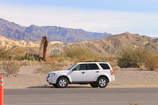 click for enlarge 1024 X 683 350.8 Kb picture