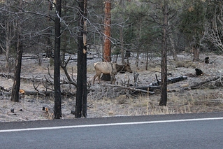 click for enlarge 1024 X 683 430.4 Kb picture