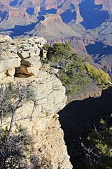 click for enlarge 683 X 1024 474.7 Kb picture