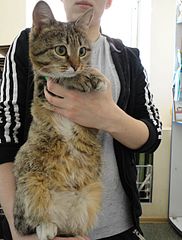 click for enlarge 1920 X 2527 530.7 Kb picture