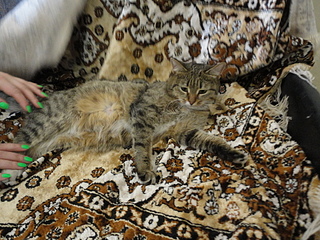 click for enlarge 1920 X 1440 297.9 Kb picture