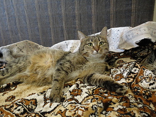 click for enlarge 1920 X 1440 323.2 Kb picture