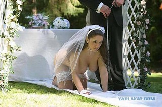 click for enlarge 600 X 398  59.2 Kb picture