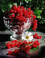 click for enlarge 400 X 520 42.2 Kb picture