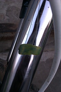 click for enlarge 1728 X 2592 652.6 Kb picture