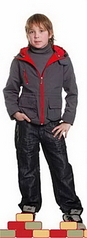 click for enlarge 146 X 400 41.4 Kb picture