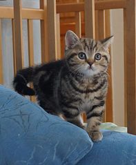 click for enlarge 754 X 915 121.0 Kb picture