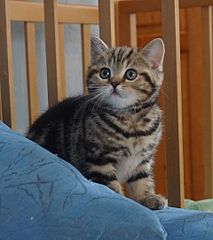 click for enlarge 1920 X 2161 432.1 Kb picture