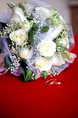 click for enlarge 1920 X 2880 446.5 Kb picture