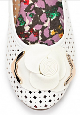 click for enlarge 299 X 433 233.9 Kb picture