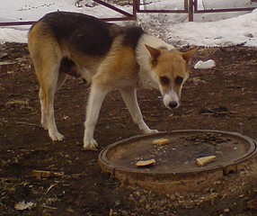 click for enlarge 753 X 631 115.1 Kb picture