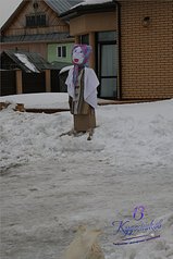 click for enlarge 533 X 800 88.3 Kb picture