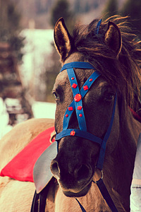 click for enlarge 534 X 800 160.7 Kb picture