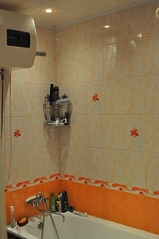 click for enlarge 298 X 448 111.3 Kb picture