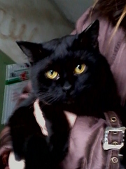 click for enlarge 1200 X 1600 252.0 Kb picture